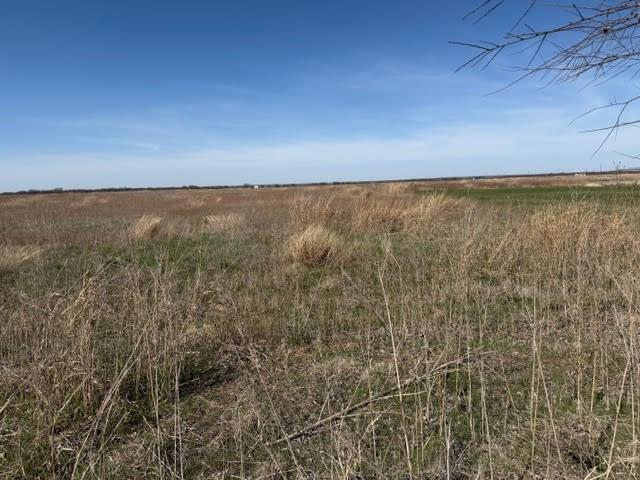 Olney Creek Ranches - Land