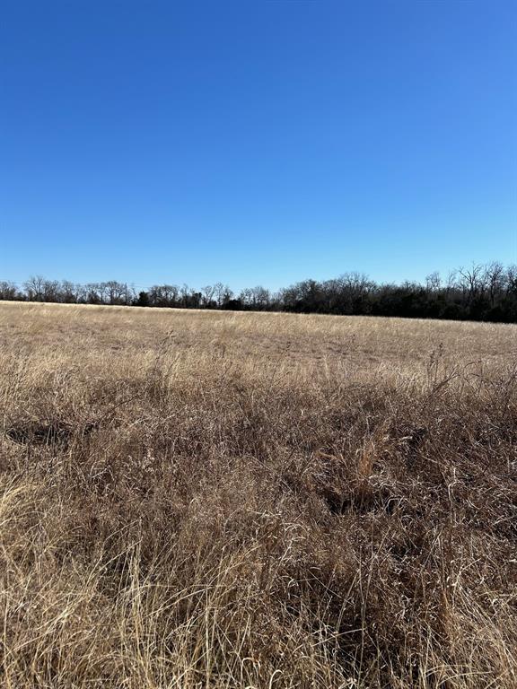 Martin-William A-G0765 - Land