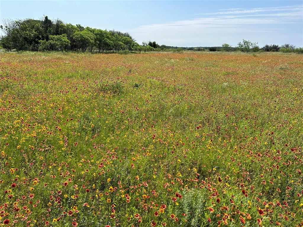 The Ranches at Comanche Valley - Land