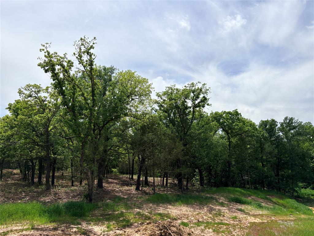 Overton Oaks Phase ione - Land