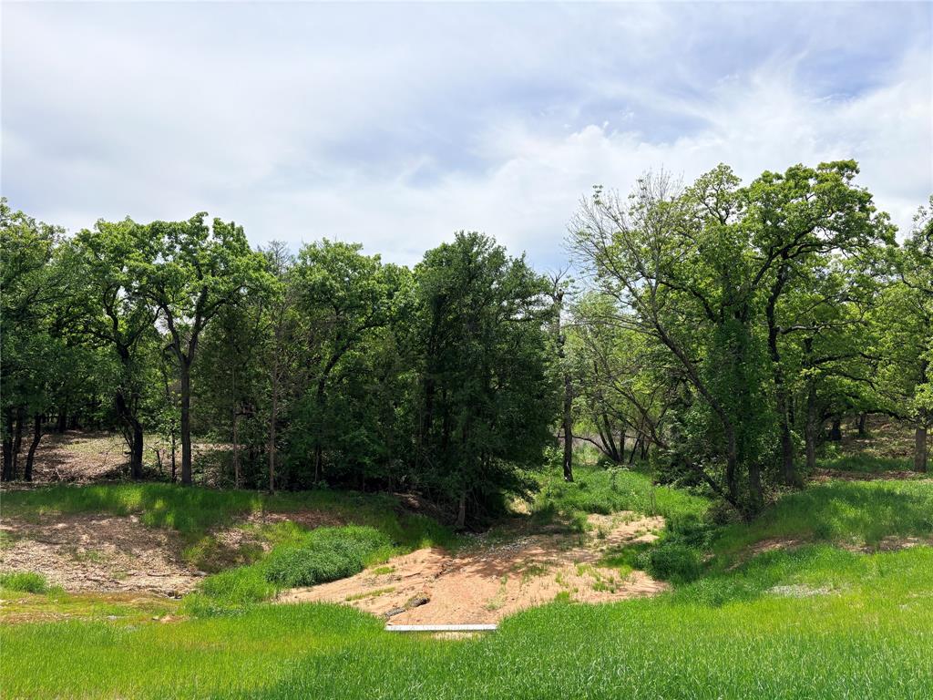 Overton Oaks Phase ione - Land