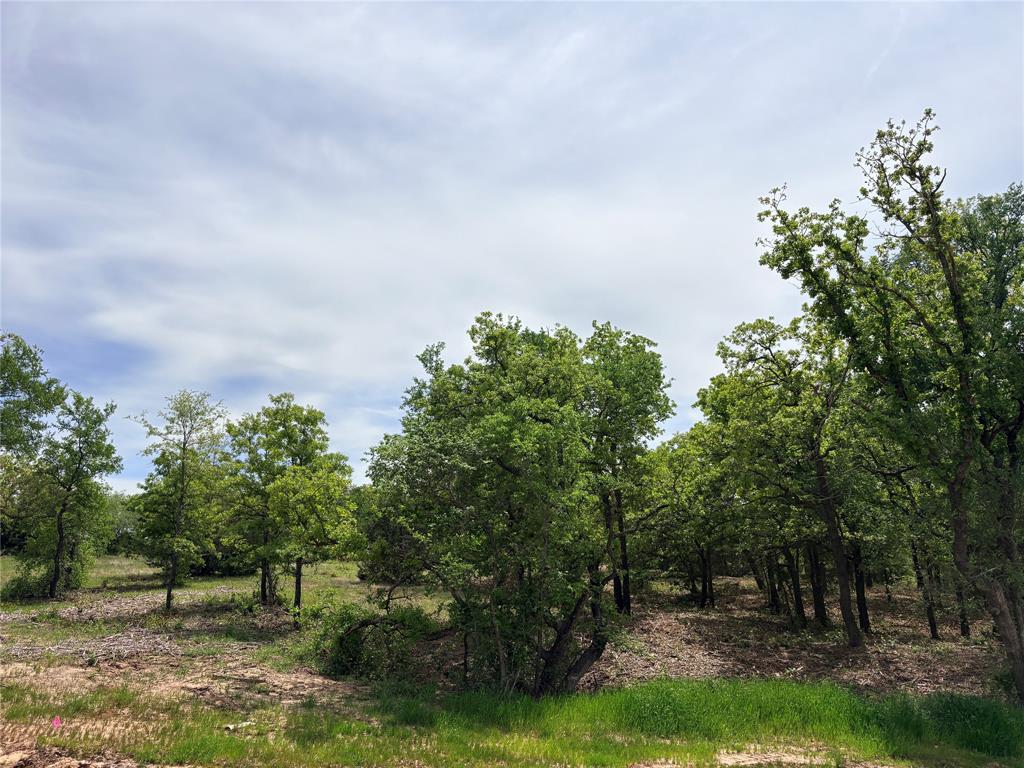 Discover the perfect blend of privacy and freedom with this beautiful acreage property located outside city limits, offering no city taxes and wide open space to create your ideal rural lifestyle. This tree covered tract provides a peaceful, natural setting with plenty of room for a custom home. Designed for flexibility, the property allows livestock including horses, cattle, chickens and goats making it ideal for agricultural use or hobby farming. With ample space for barns, workshops and outdoor living, this land offers the opportunity to enjoy country living while still being within convenient reach of nearby amenities. A rare chance to own useable acreage with trees and stunning space. Builder of choice would have to be approved by developer.