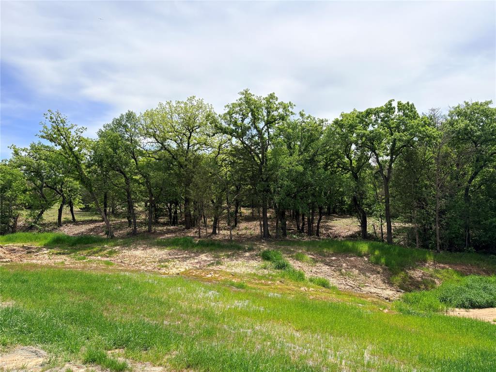 Overton Oaks Phase ione - Land