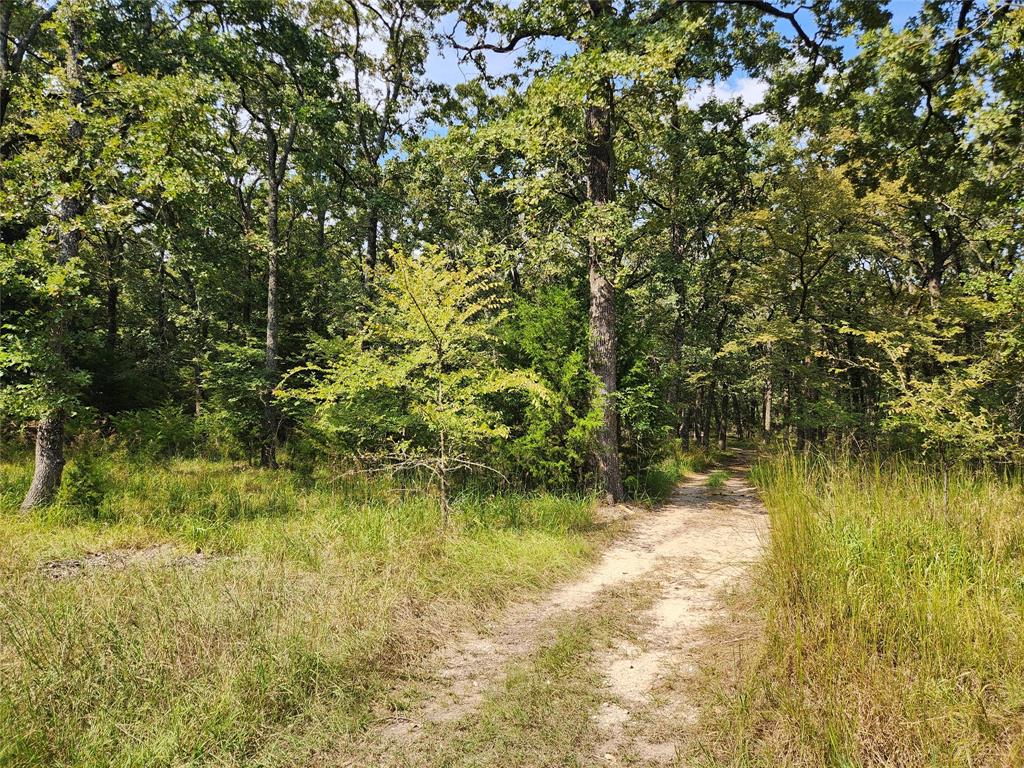 Fox Point Club Sec III - Land