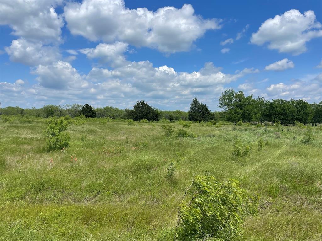 2 Acres south of Corsicana. This is a great get-away property, or for building your house, barndominium, or tiny
house. Imagine it.. your style, your preference, and this land is the white canvas for it. Nice property south ofCorsicana on CR 2400,2 lots next to each other can combined for a total of 4 acres,  or 3 lots for a total of 5.5 acres. Seller Financing Available.
