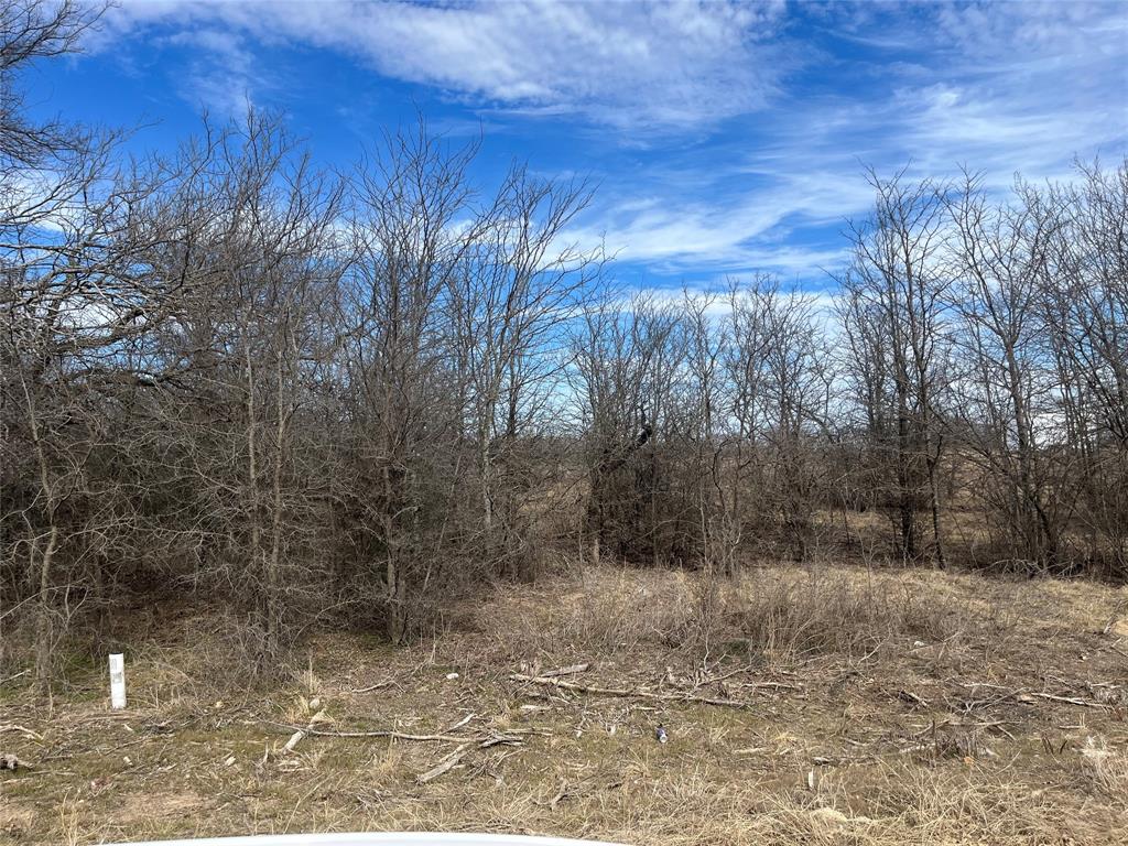 Come to Runaway Bay and get away from it all. This lot is located near the lake where you can go to the docks or lakeside to fish or just take in the scenery. This lot is build to suit. There are no known restrictions. The lot does have water however buyer will pay the water tap fee. Electric is close. Septic will be required. No Survey. BRING YOUR DREAMS and FIND YOUR OWN SLICE OF PEACE AND TRANQUILITY!