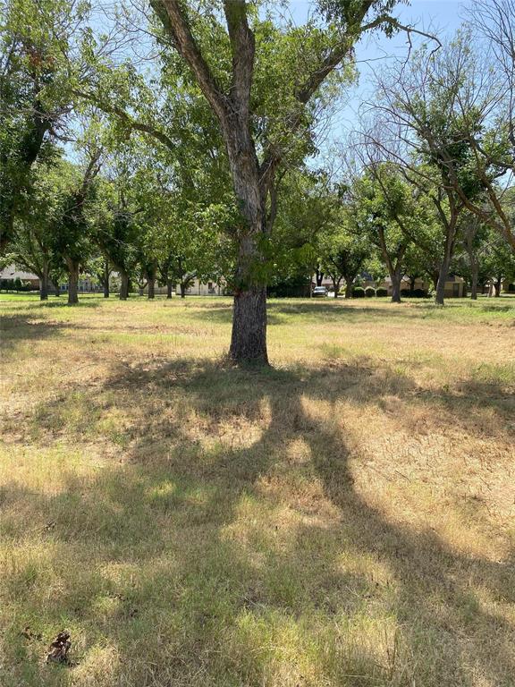 Pecan Plantation - Land