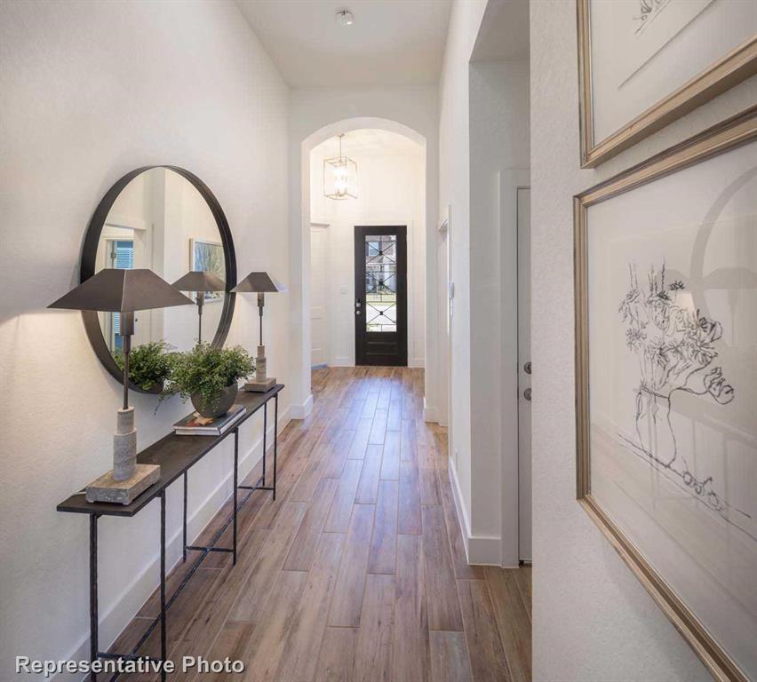 Trinity Falls: Artisan Series - 50' lots - Residential