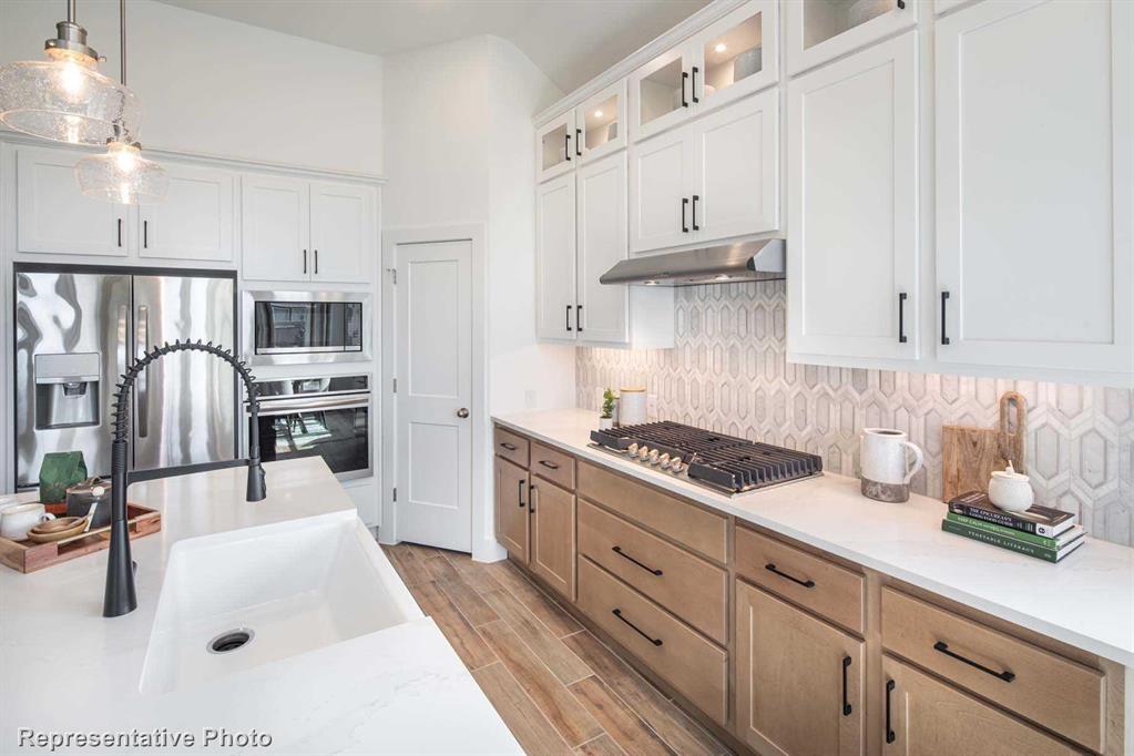 Trinity Falls: Artisan Series - 50' lots - Residential