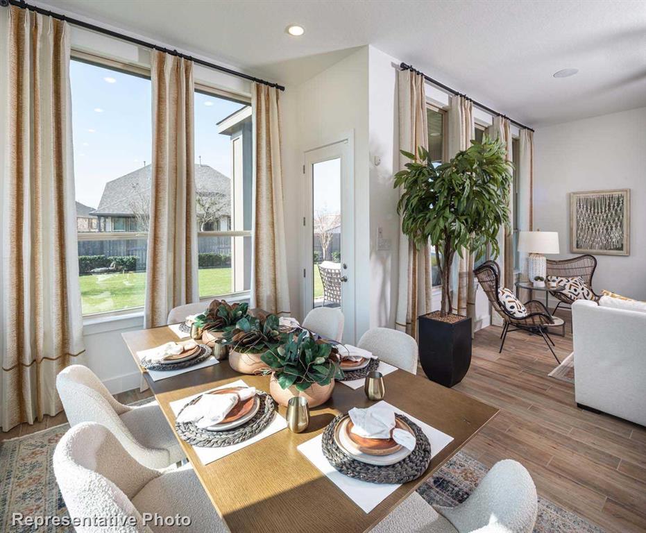 Trinity Falls: Artisan Series - 50' lots - Residential