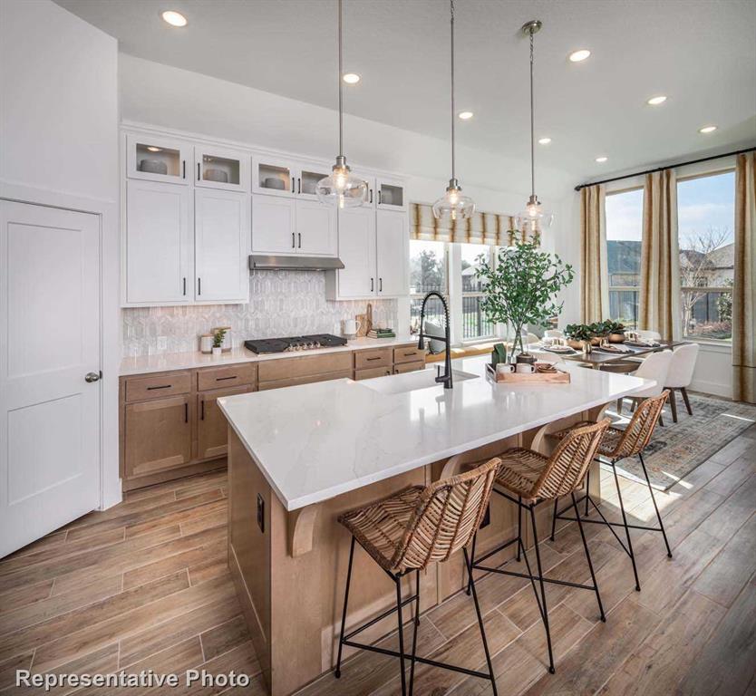 Trinity Falls: Artisan Series - 50' lots - Residential