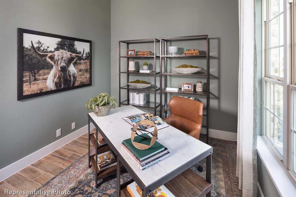 Trinity Falls: Artisan Series - 50' lots - Residential