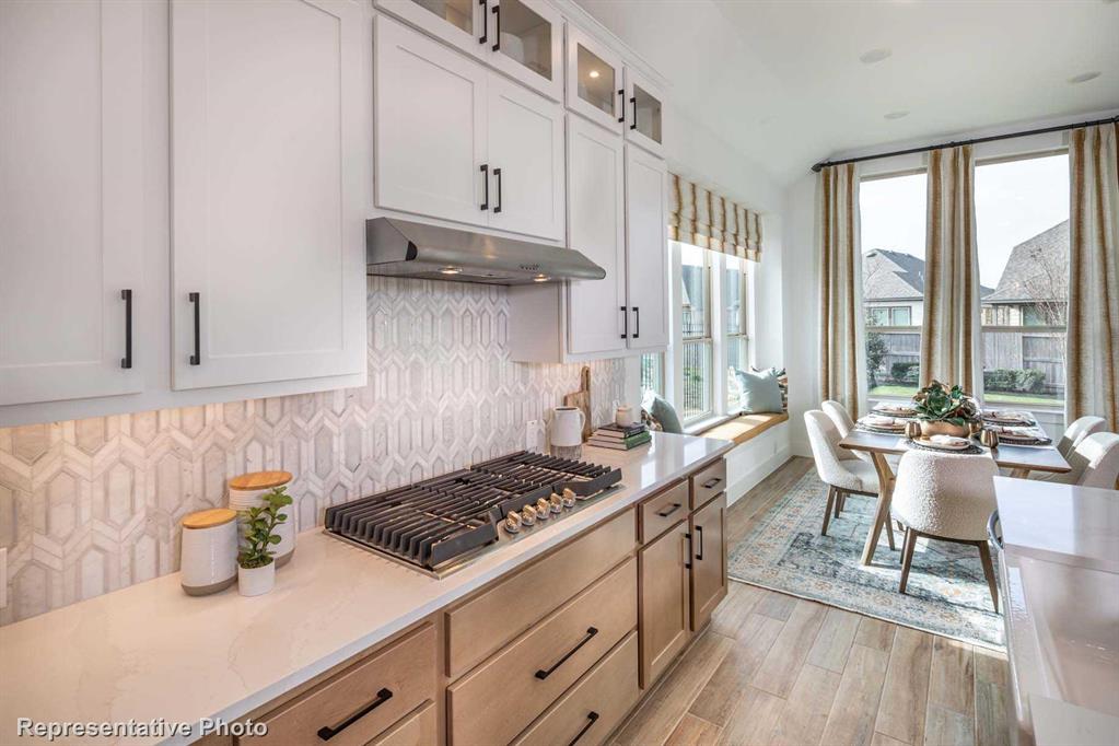 Trinity Falls: Artisan Series - 50' lots - Residential