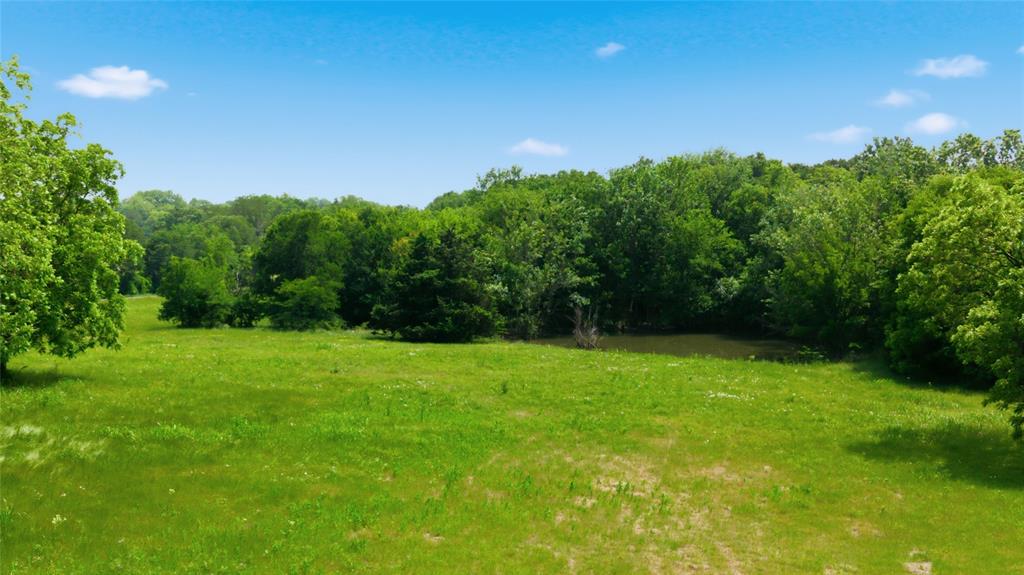 Buffalo Creek - Land