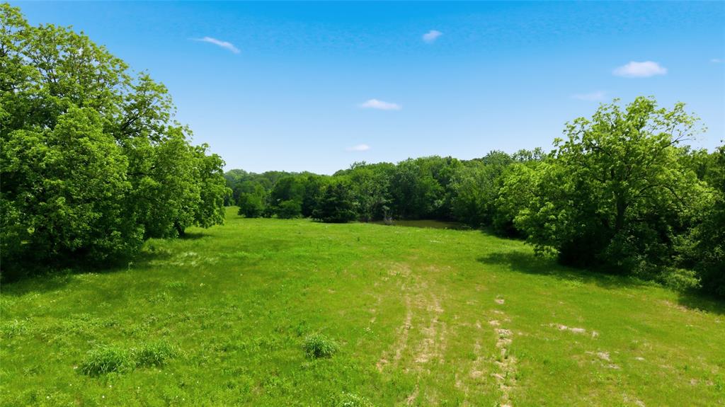 Buffalo Creek - Land