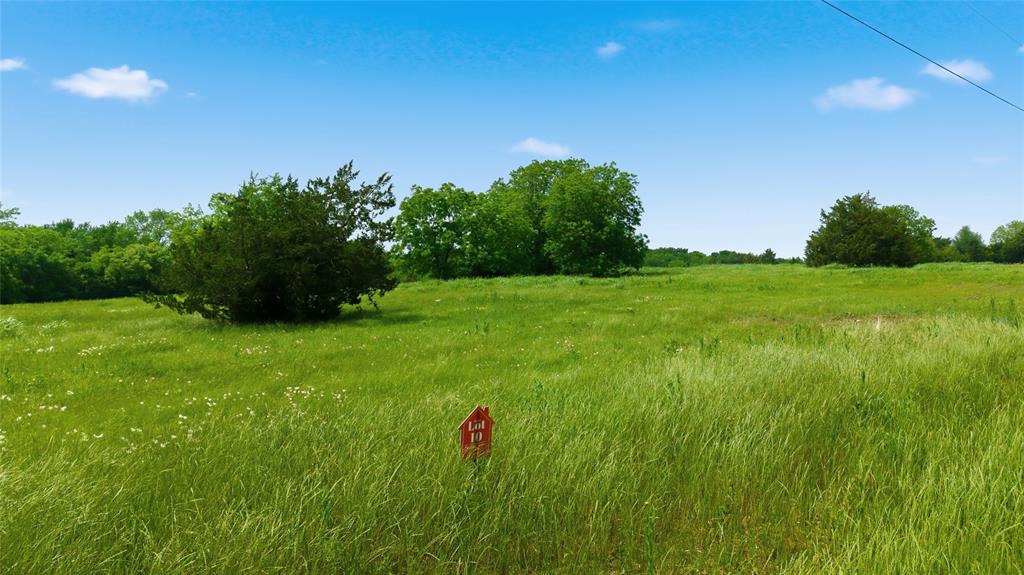 Buffalo Creek - Land