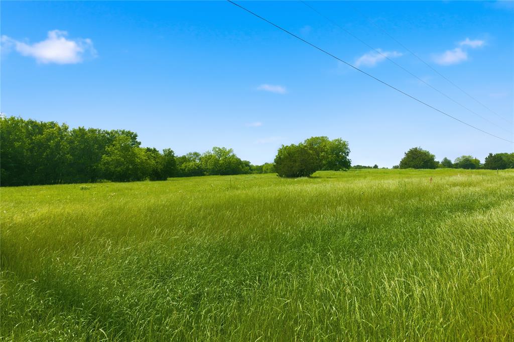 Buffalo Creek - Land