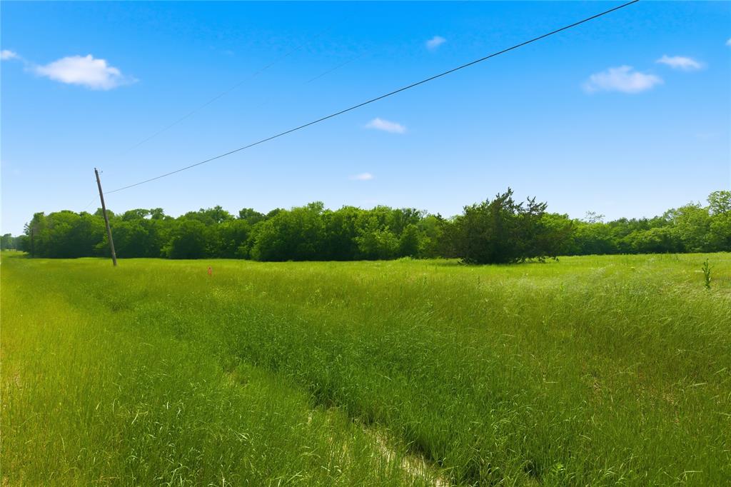 Buffalo Creek - Land
