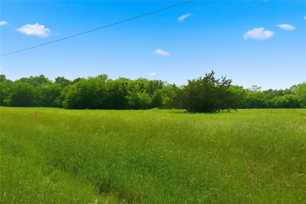 Buffalo Creek - Land