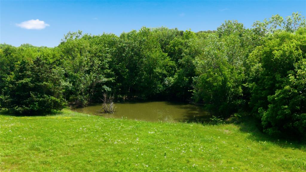 Buffalo Creek - Land