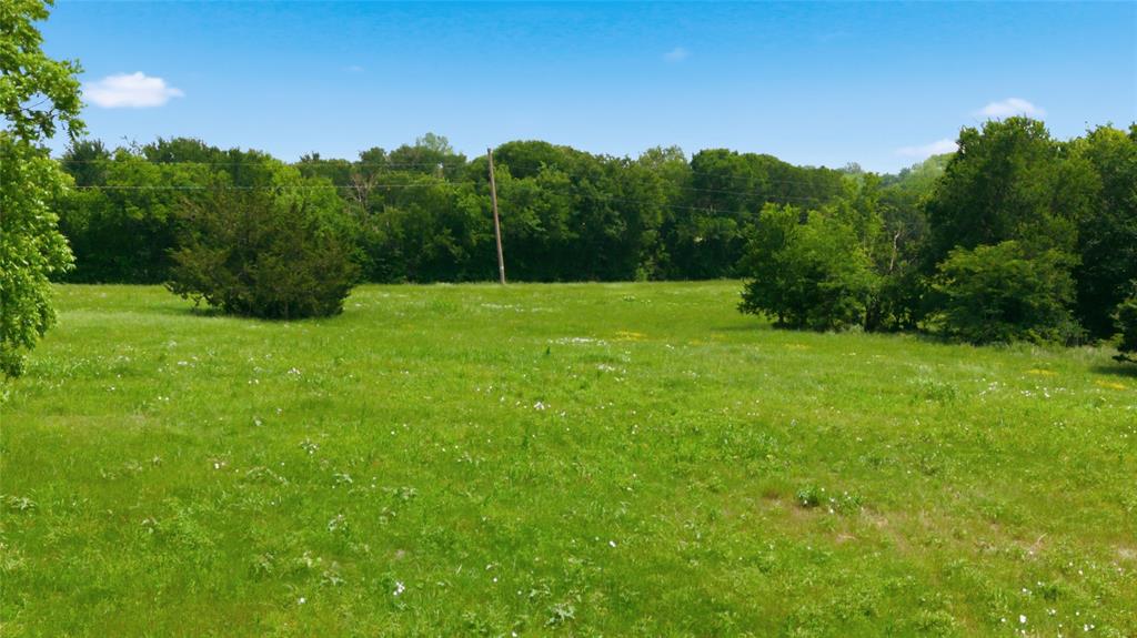 Buffalo Creek - Land