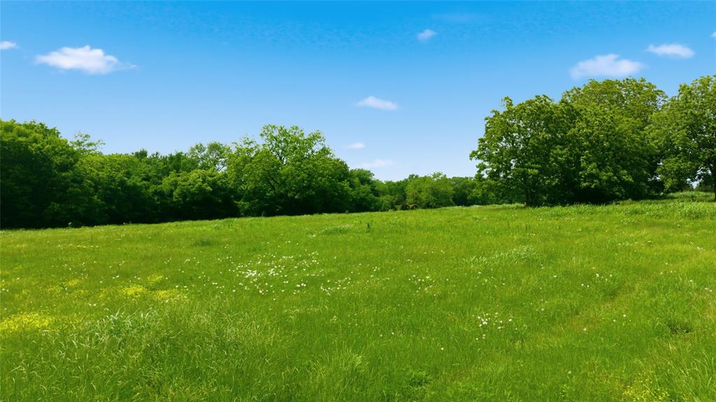Buffalo Creek - Land