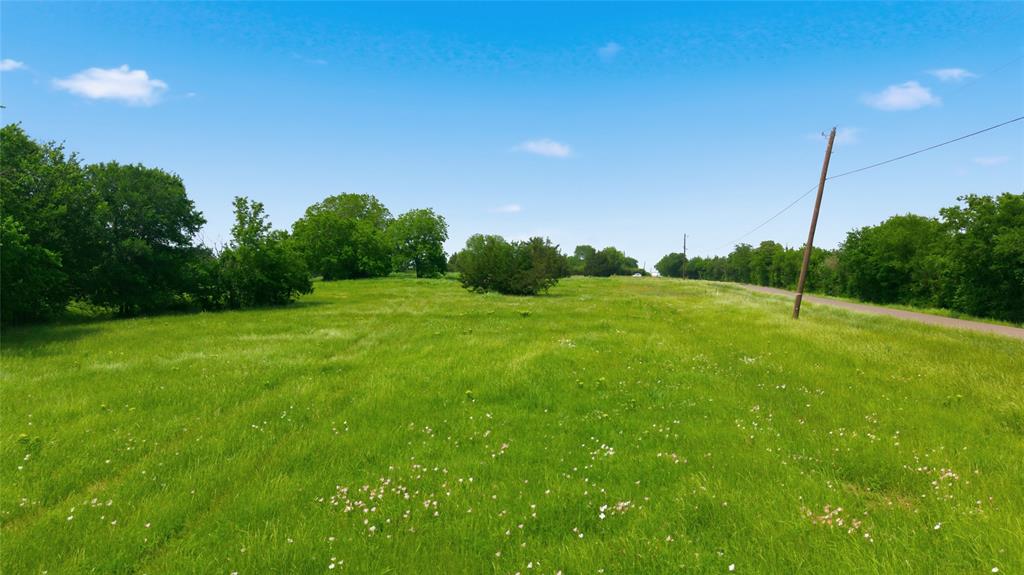 Buffalo Creek - Land