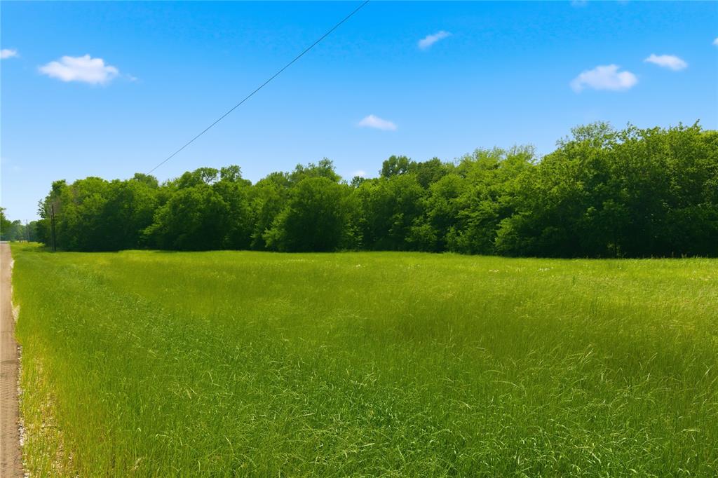 Buffalo Creek - Land