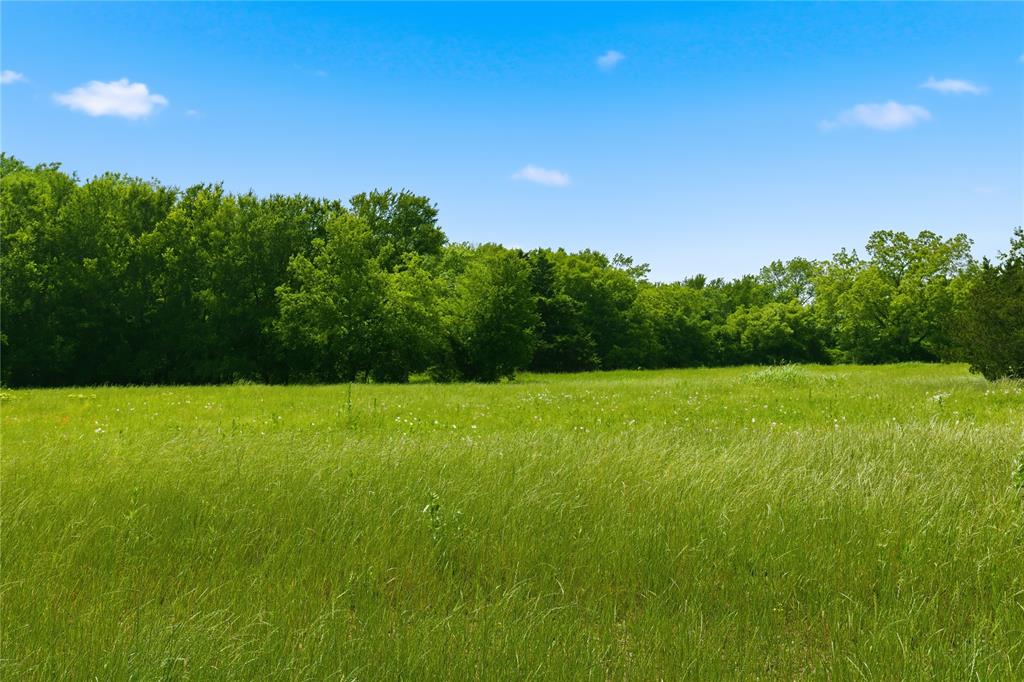 Buffalo Creek - Land