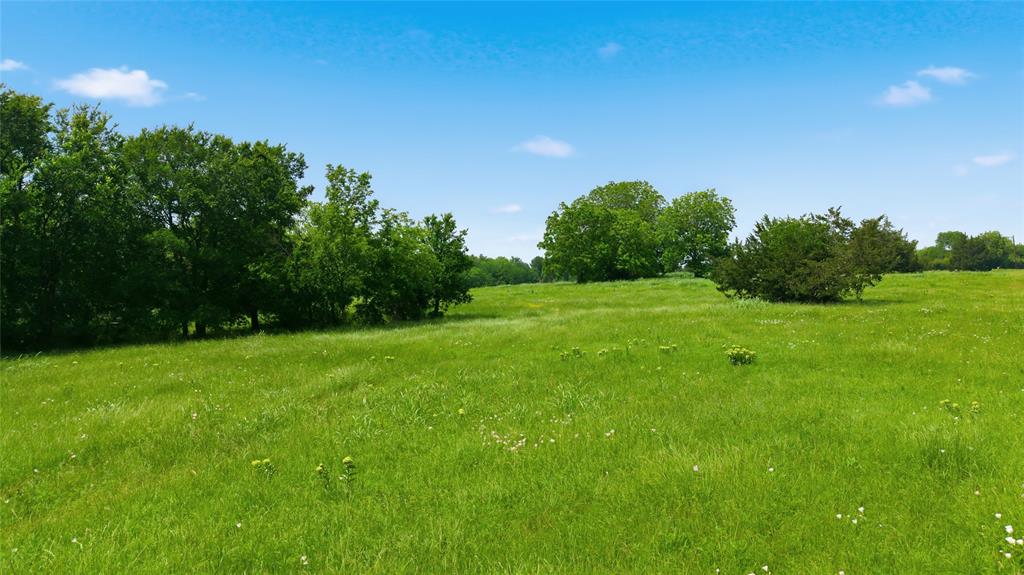 Buffalo Creek - Land