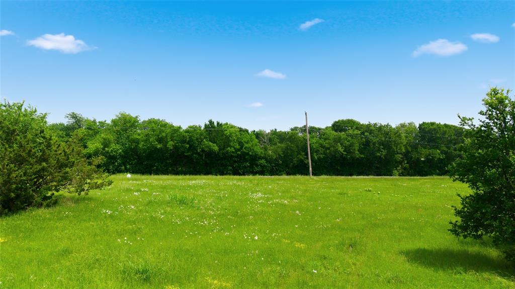 Buffalo Creek - Land