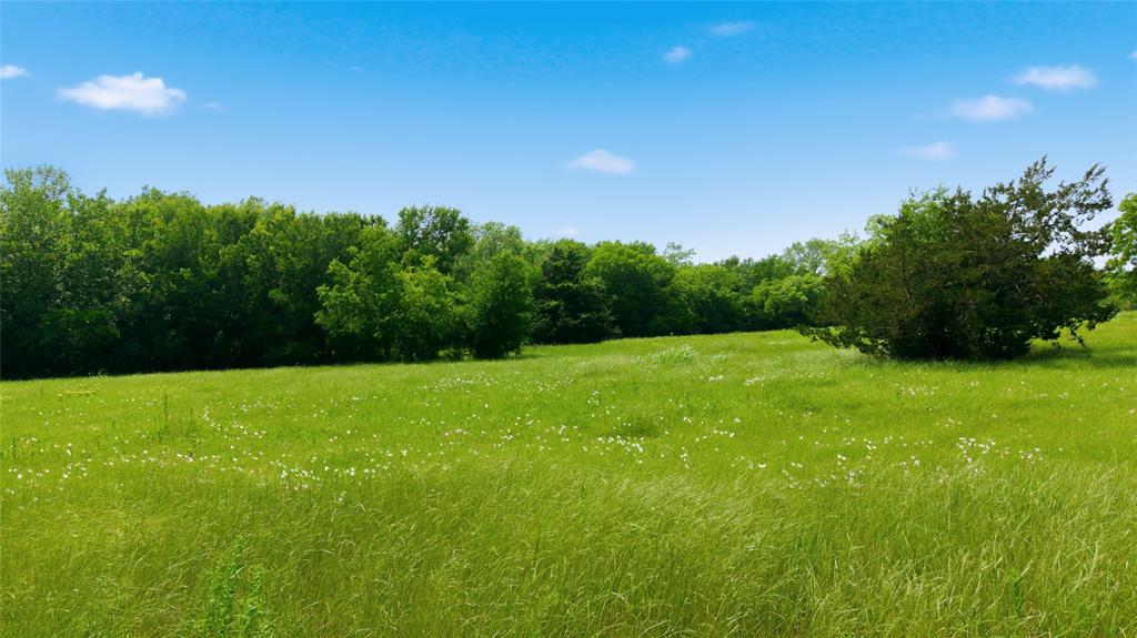 Buffalo Creek - Land