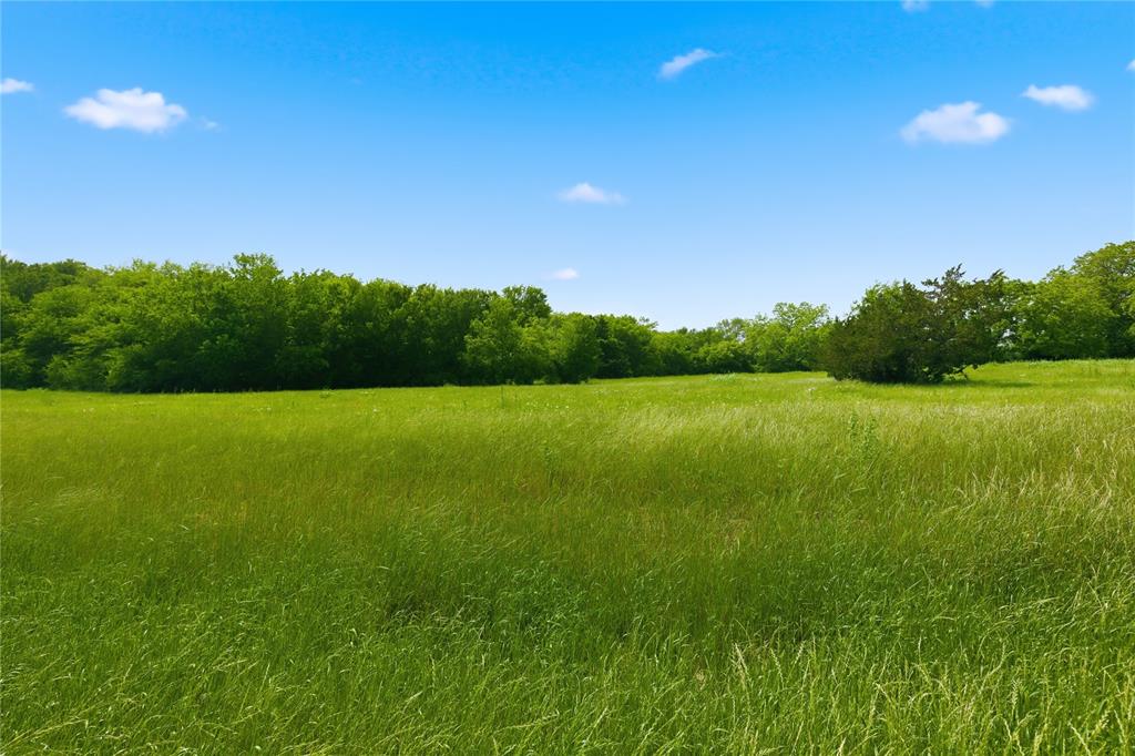 Buffalo Creek - Land