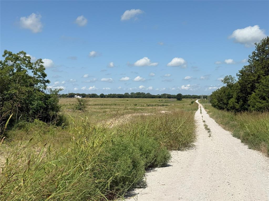 Briar Branch - Land