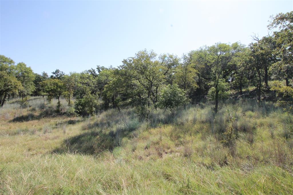 North Star Pointe - Land