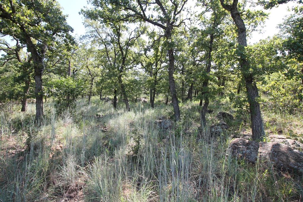 Interior lot in beautiful North Star Pointe on Lake Bridgeport.  This is an upscale gated community of North Star Pointe. Lake Bridgeport, a 12,000 acre lake that is a first choice of boaters, skiers, fishermen, and other water sports. The community features its own private water system, paved streets, underground utilities, on one plus size acre lots. The community pool and boat ramp at North Star Pointe are available to all owners. Come enjoy the lake.