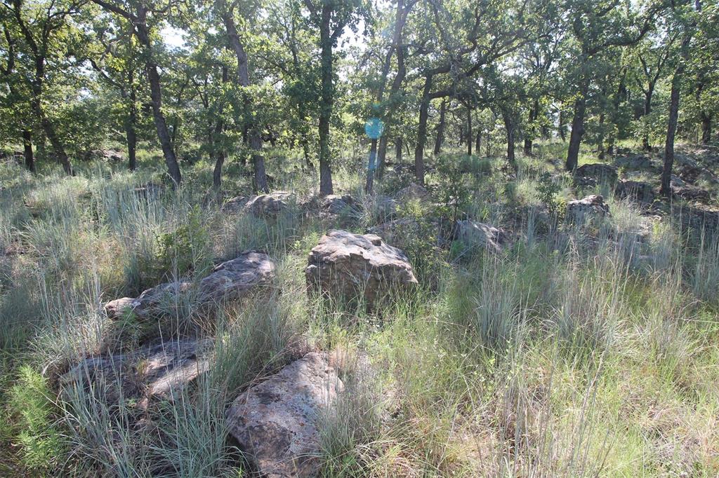 North Star Pointe - Land