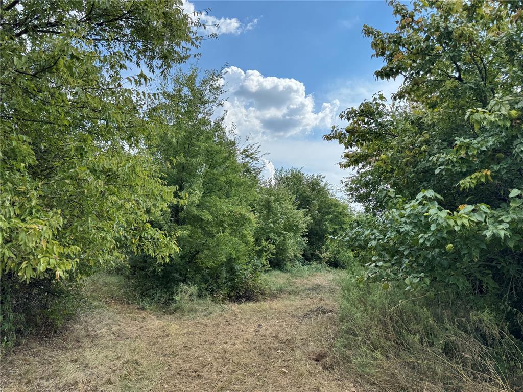 Longview Creek Ranch - Land