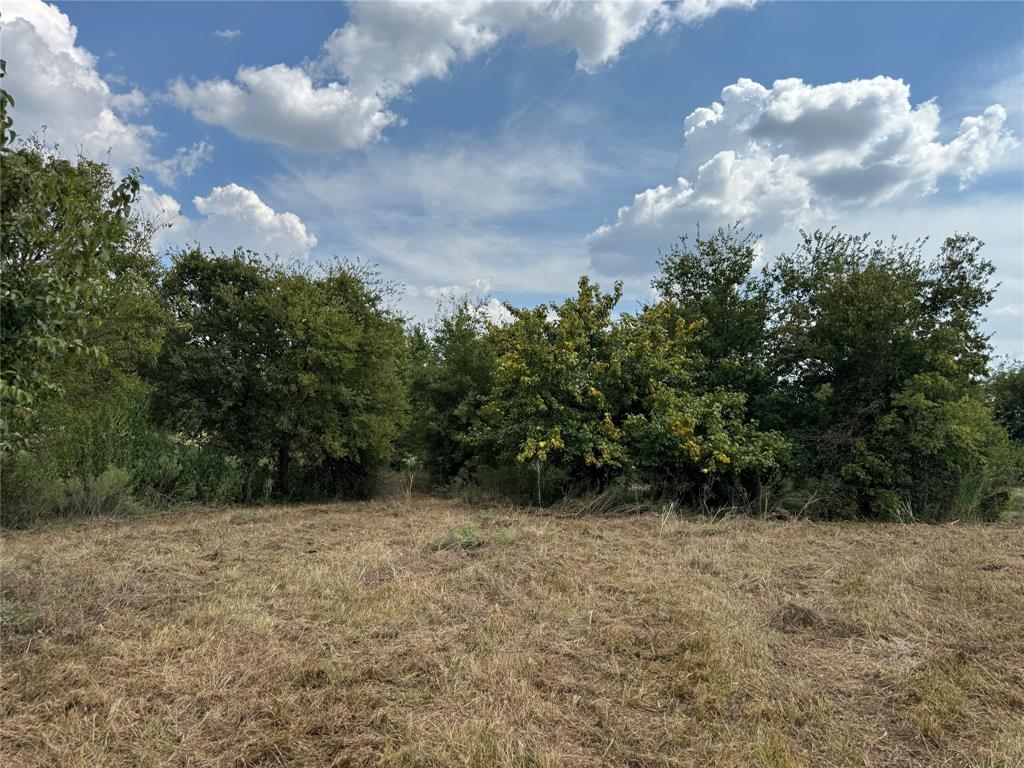 Longview Creek Ranch - Land