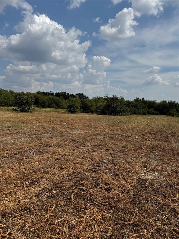 Longview Creek Ranch - Land