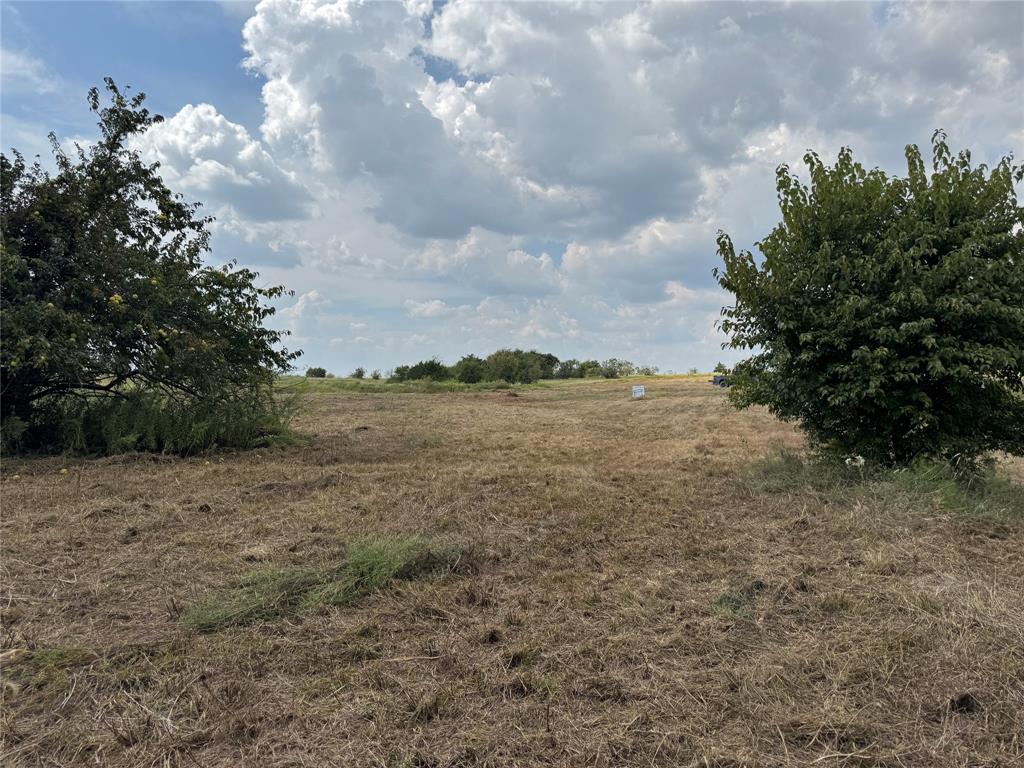 Longview Creek Ranch - Land