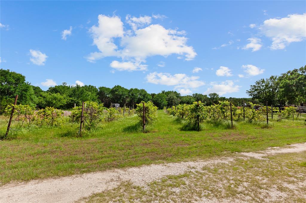 Wooded Lake Estate Add Pt I - Residential
