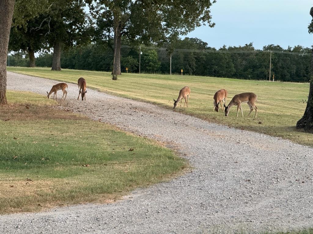 Post Oak Meadows Ranch - Residential