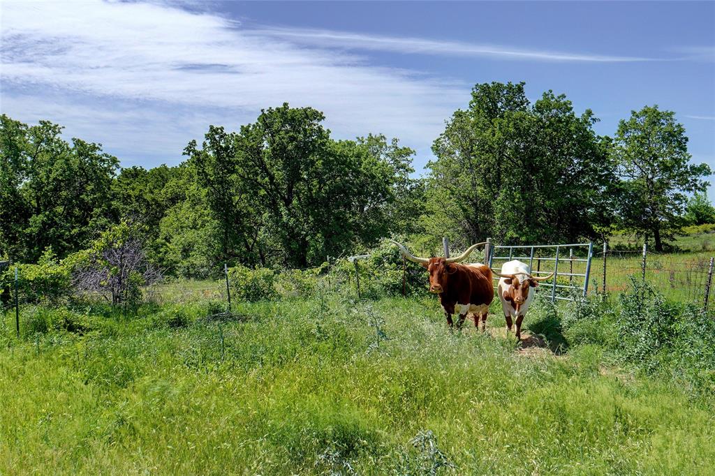 Rural - Land