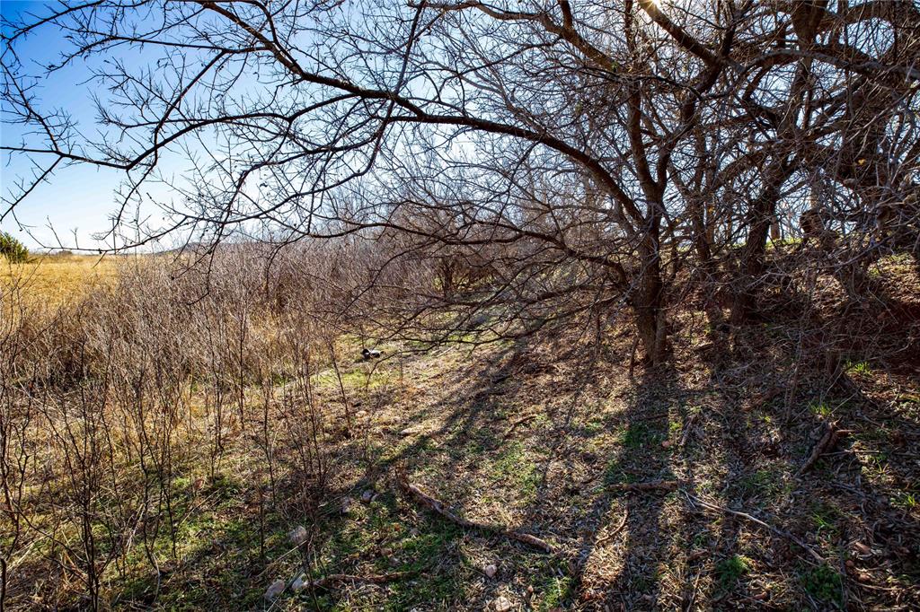 Munson - Land