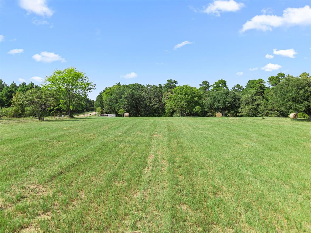 Candler - Residential