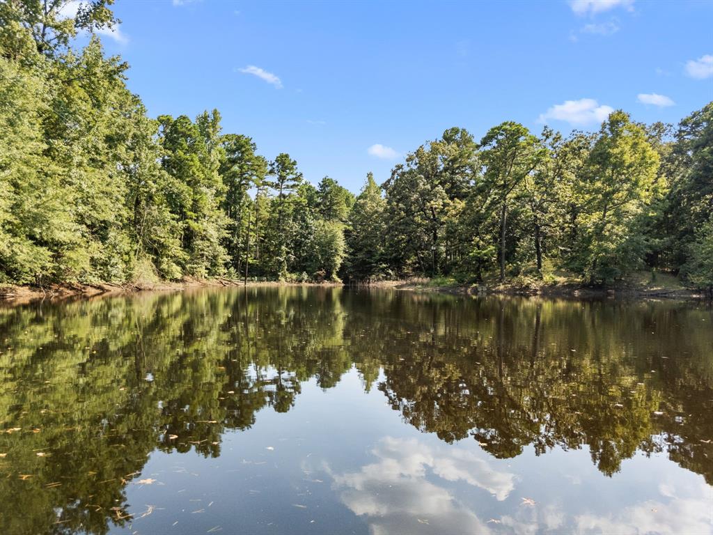 Candler - Residential
