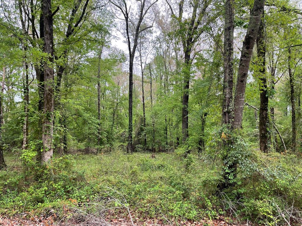 Spring Ridge Estates - Land