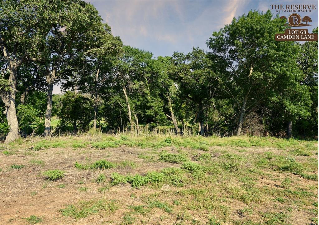 The Reserve at Taylor Ranch - Land