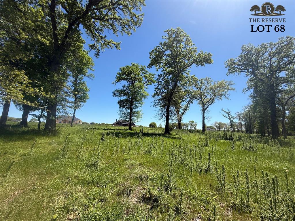 The Reserve at Taylor Ranch - Land